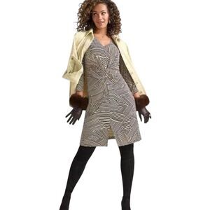 cabi Manhattan Dress Sz Small Brown Cream Biscotti Stripe Style 4614